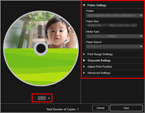 figure: Print settings dialog box