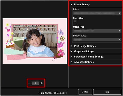 figure: Print settings dialog box