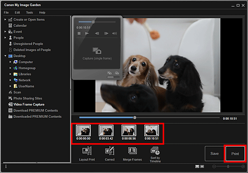 figure: Video Frame Capture view