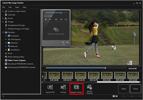 figure: Video Frame Capture view