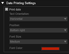 figure: Print settings dialog box