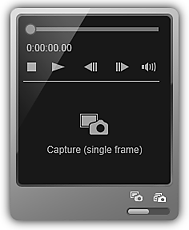 figure: Capture (single frame) panel