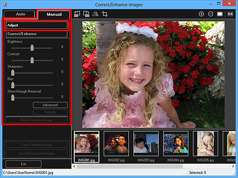 figure: Correct/Enhance Images window Manual tab