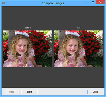 figure: Compare Images window