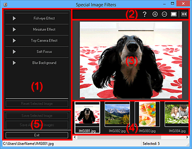 figure: Special Image Filters window