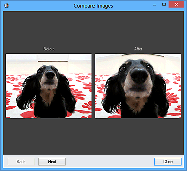 figure: Compare Images window