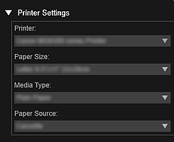 figure: Print settings dialog box