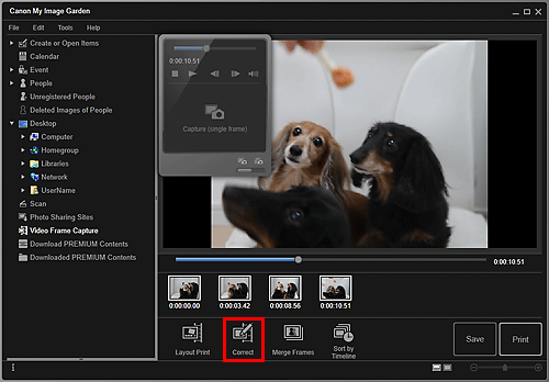 figure: Video Frame Capture view