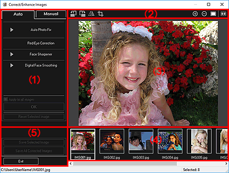 фигура: Прозорец „Correct/Enhance Images” в раздела „Auto”