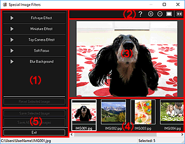 figure: Special Image Filters window