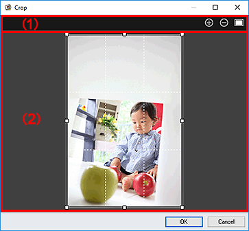 figura: Fereastra Decupare