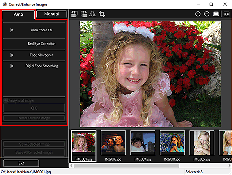 figure: Correct/Enhance Images window Auto tab