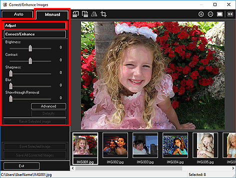 figure: Correct/Enhance Images window Manual tab
