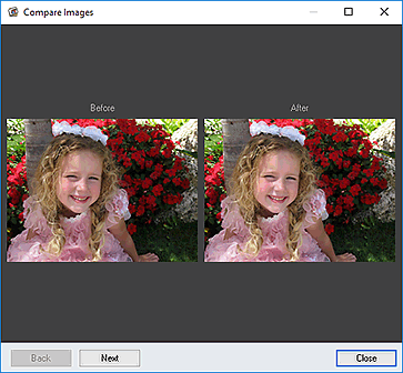 figure: Compare Images window