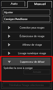 figure : onglet Manuel fenêtre Corriger/Améliorer les images