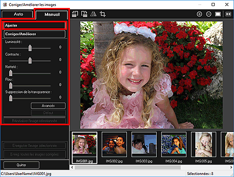 figure : onglet Manuel fenêtre Corriger/Améliorer les images