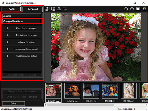 figure : onglet Manuel fenêtre Corriger/Améliorer les images