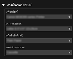 ภาพ: ไดอะล็อกบ็อกซ์ "การตั้งค่าการพิมพ์"