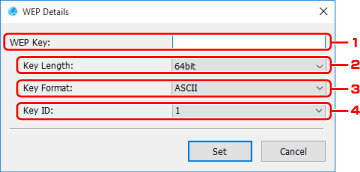 figura: Ecranul Detalii WEP