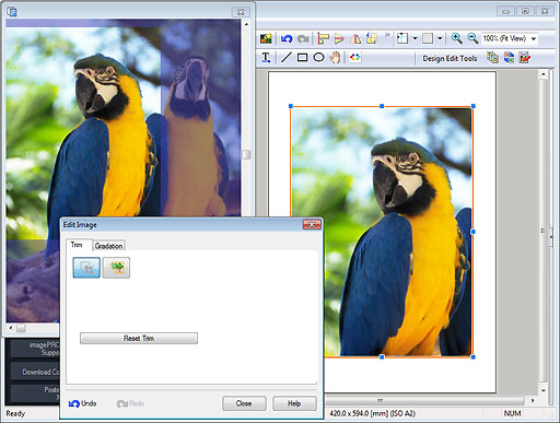 Page Photo Editor Editing Photos