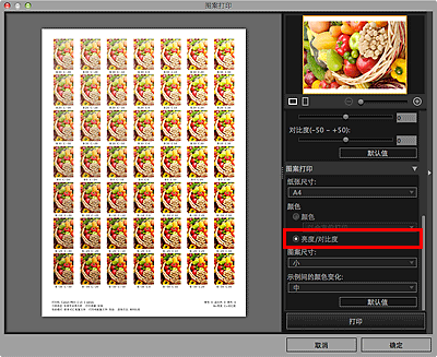 插图：&ldquo;图案打印&rdquo;窗口