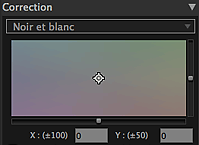 figure&nbsp;: zone de réglage de la tonalité des couleurs noir et blanc