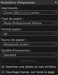 figure&nbsp;: zone des paramètres (Paramètres d'impression)