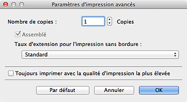 figure&nbsp;: boîte de dialogue Paramètres d'impression avancés