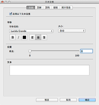 插图：&ldquo;文本设置&rdquo;对话框