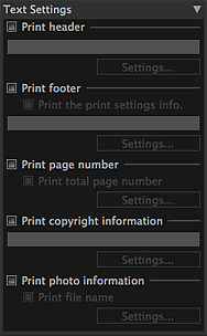 Abbildung: Texteinstellungen im Bereich Einstellungen (Layout)