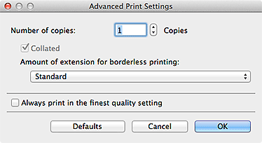 figure: Advanced Print Settings dialog