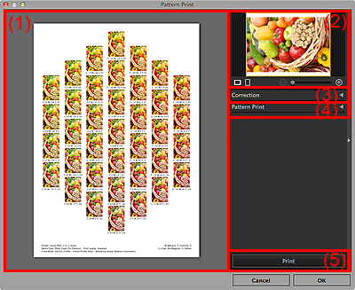 figure: Pattern Print window