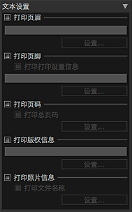 插图：设置区域(布局)的“文本设置”