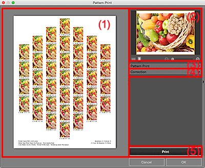 figure: Pattern Print window