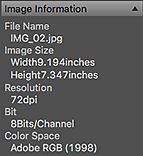 Imagen: Área Información