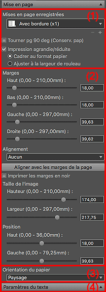 figure : Zone des paramètres (Mise en page)