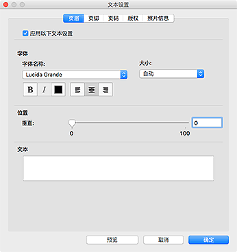 插图：“文本设置”对话框