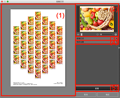 插图：“图案打印”窗口