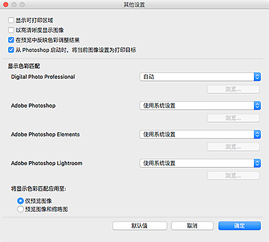 插图：“其他设置”对话框