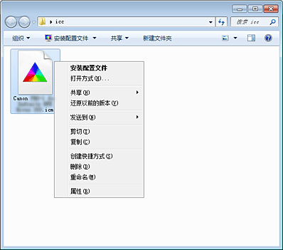 插图：配置文件安装屏幕