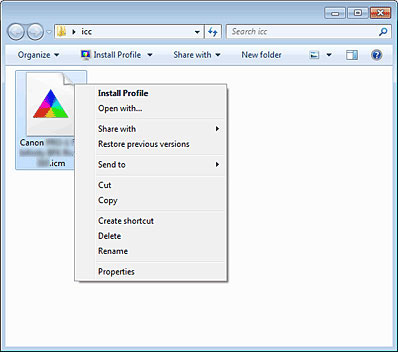 figura: Schermata di installazione del profilo
