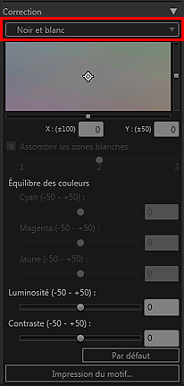 figure&nbsp;: zone des paramètres (Correction)
