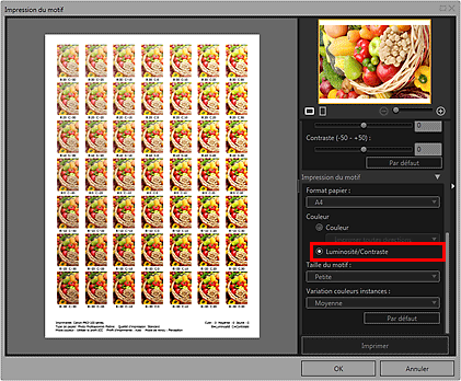 figure&nbsp;: fenêtre Impression du motif