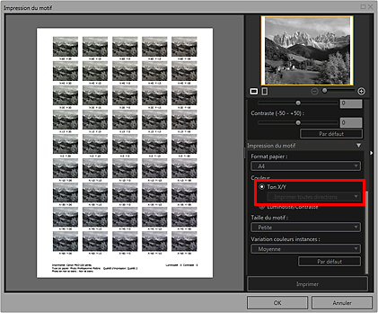 figure&nbsp;: fenêtre Impression du motif