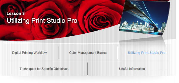 Canon : PIXMA Manuals : Digital Photo Printing Guide : Saving the ...