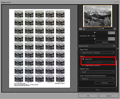 figura: Finestra Stampa motivo