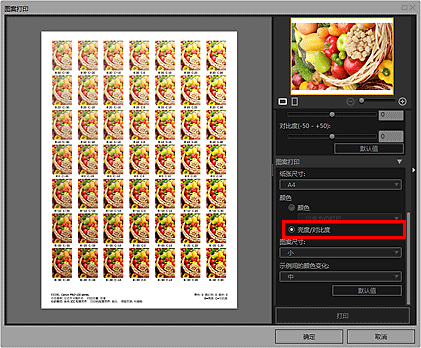 插图：&ldquo;图案打印&rdquo;窗口