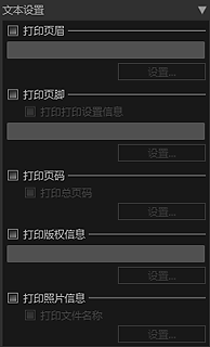 插图：设置区域的&ldquo;文本设置&rdquo;(布局)