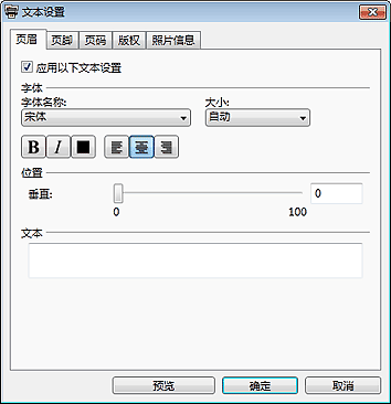 插图：&ldquo;文本设置&rdquo;对话框