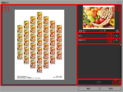插图：&ldquo;图案打印&rdquo;窗口